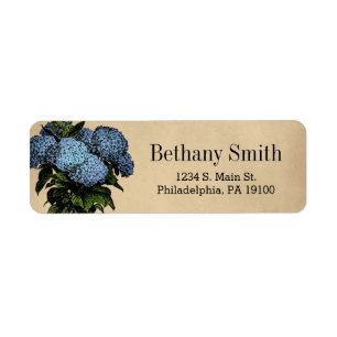 Etiqueta Azul vintage Hidrangea Floral Botánica