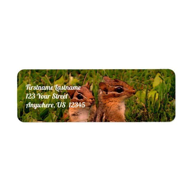 Etiqueta Baby Chipmunks Wildlife Animal Art (Frente)
