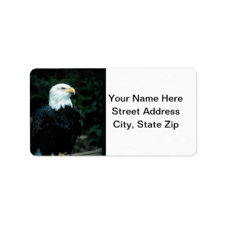 Etiqueta Bald Eagle
