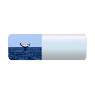 Etiqueta Ballena jorobada en el océano