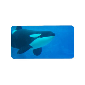 Etiqueta ballena morena submarina azul