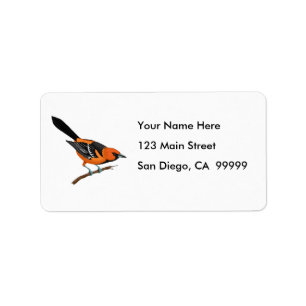 Etiqueta Baltimore Oriole en una ramita