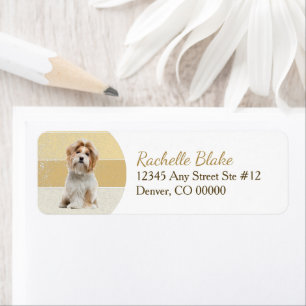 Etiqueta Banda de oro Shih-Tzu Dirección de devolución de p