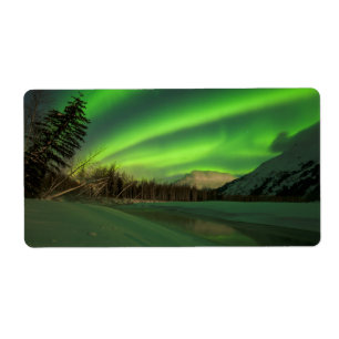 Etiqueta Banded Aurora