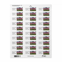 Banderas y cruces de Estados Unidos