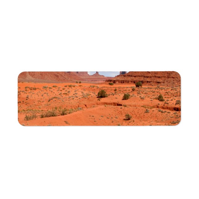 Etiqueta Barrancos del desierto (Frente)