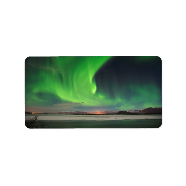 Etiqueta Barrido de Aurora (Frente)