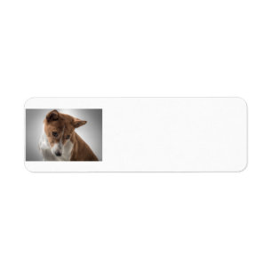 Etiqueta basenji
