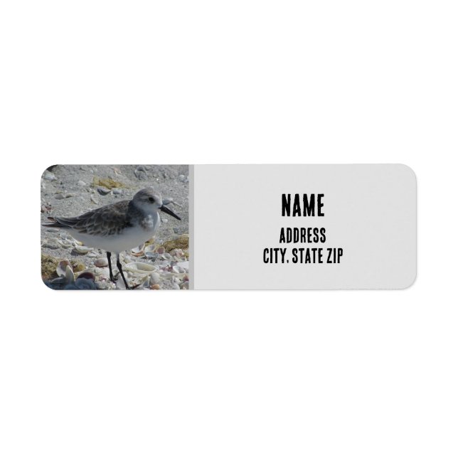 Etiqueta Beach Bird Nature Photo Gray Coastal Animal (Frente)