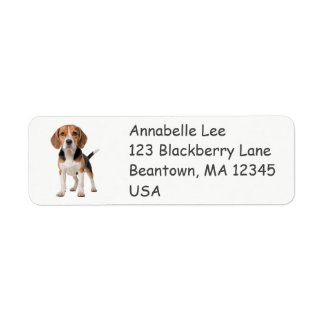 Etiqueta Beagle
