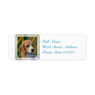 Etiqueta Beagle adorable