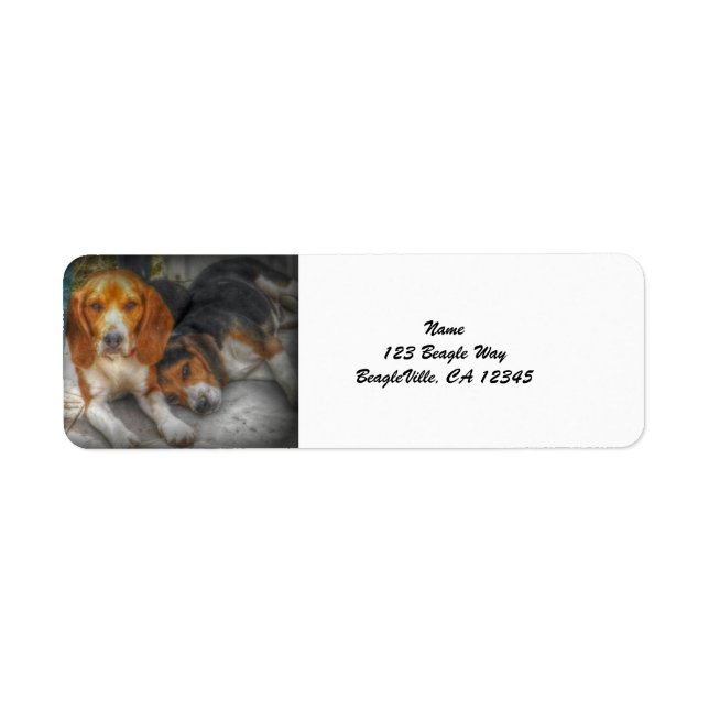 Etiqueta Beagle Brothers (Frente)