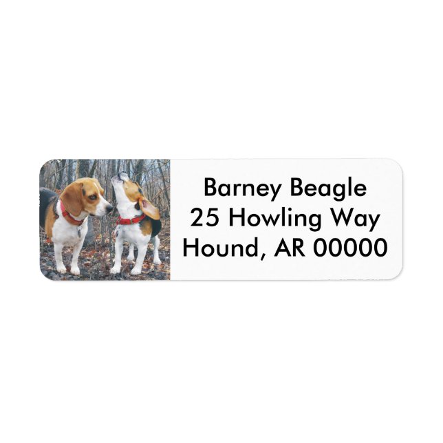 Etiqueta Beagles En Los Bosques (Frente)