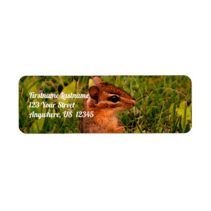 Etiqueta Bebé Chipmunk Wildlife Animal Art