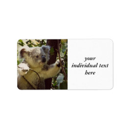 Etiqueta bebé dulce de Koala