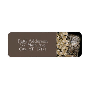 Etiqueta Bechuza Winking De Peeking