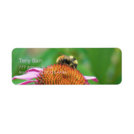 Etiqueta Bee Echinacea