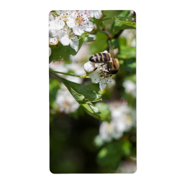 Etiqueta Bee recoge polen (Frente)