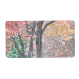 Etiqueta Belleza de otoño