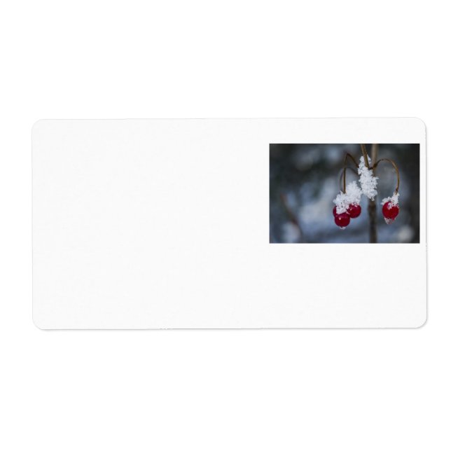 Etiqueta Berries heladas (Frente)