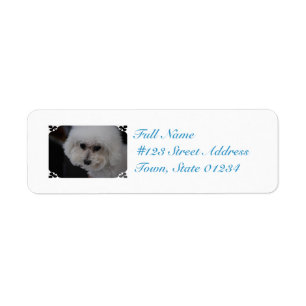 Etiqueta Bichon dulce Frise