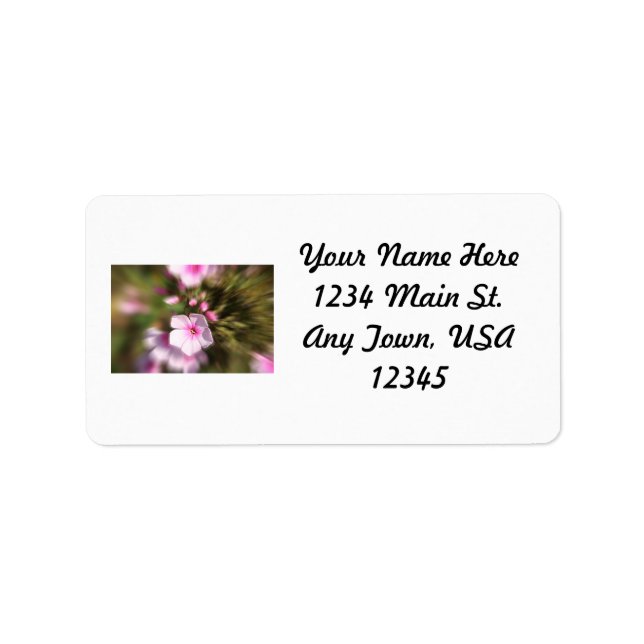 Etiqueta Bígaro (Frente)