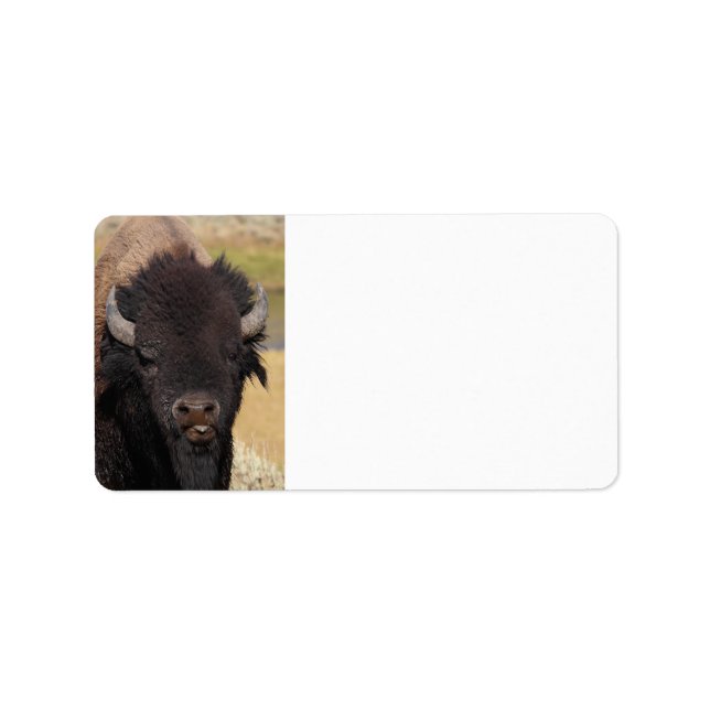 Etiqueta bisonte divertido (Frente)