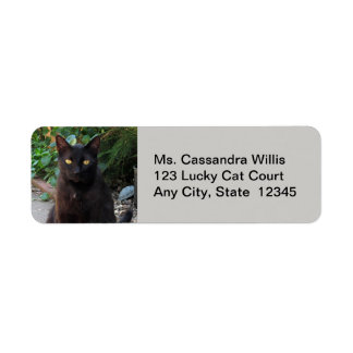 Etiqueta Black Cat Patiently Waiting Return Address Labels
