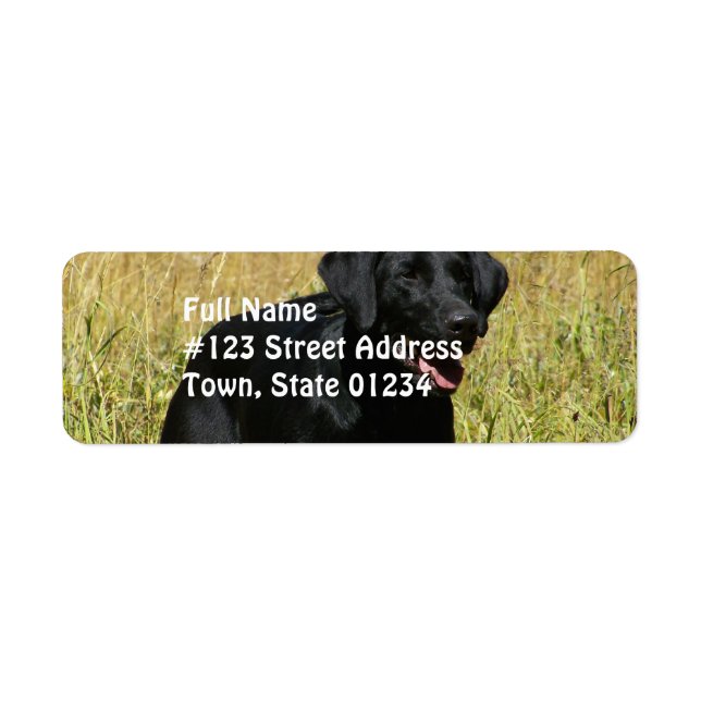 Etiqueta Black Lab in Field Mailing Labels (Frente)