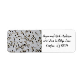 Etiqueta Bloque de gansos en vuelo