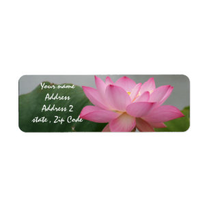 Etiqueta Blossom de Lotus rosa
