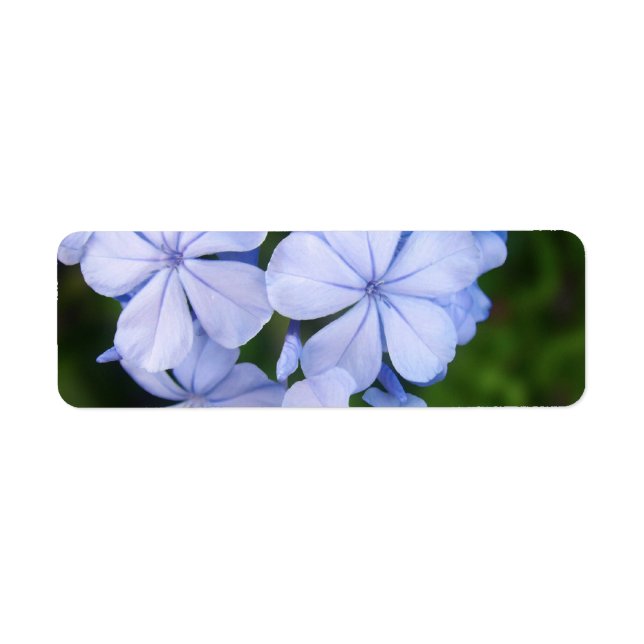 Etiqueta Blue Floral Bokeh (Frente)