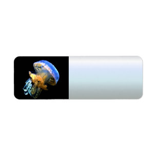 Etiqueta Blue Jellyfish