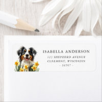Blue Merle Australian Shepherd Spring Daffodils