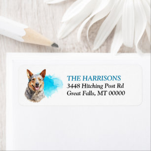 Etiqueta Blue Splash Australian Cattle Dog Return Address