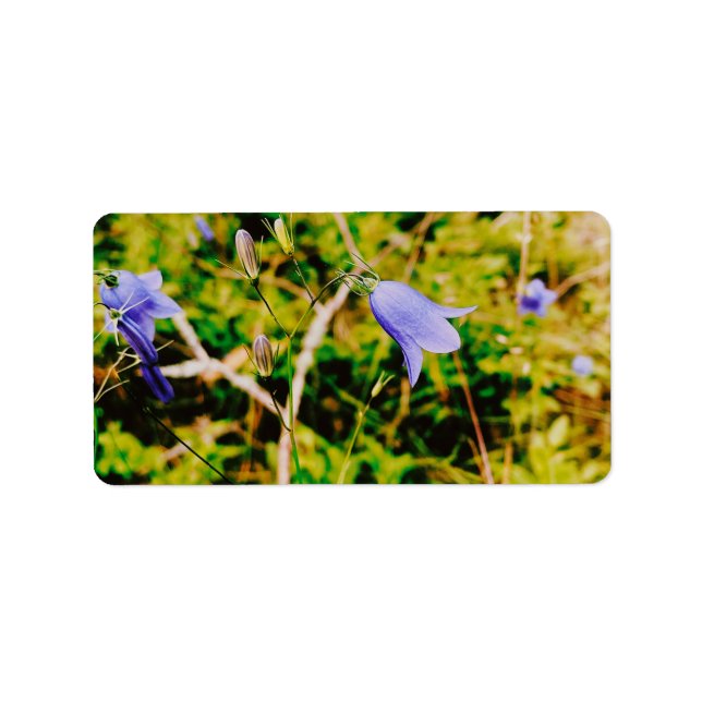 Etiqueta Bluebell sueco (Frente)