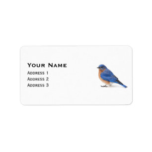 Etiqueta Bluebird