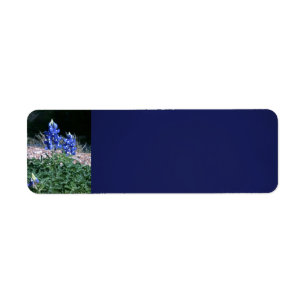 Etiqueta Bluebonnets del banco de arena