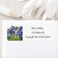 Bluebonnets Texas State Flowine Lupine