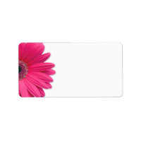 Boda de flores rosadas Gerbera Daisy Dirección en 