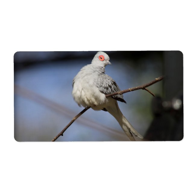 Etiqueta Bonita estufa de diamante (Frente)