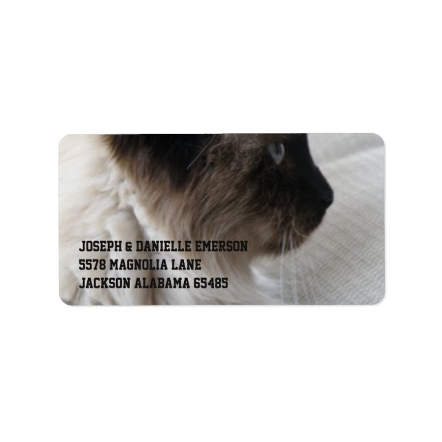 Etiqueta Bonito Kitty Siamés (Frente)