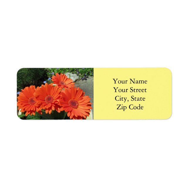 Etiqueta Bonito Naranja brillante Gerbera Daisy Foto Amaril (Frente)