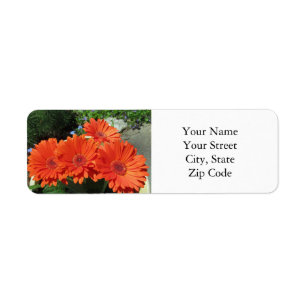Etiqueta Bonito Naranja Floral Daisy Photography