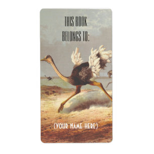 Etiqueta Bookplate corriente colorido del ilustracion de la