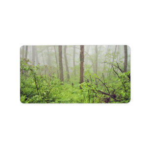 Etiqueta Bosque con niebla