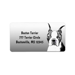 Etiqueta Boston Terrier
