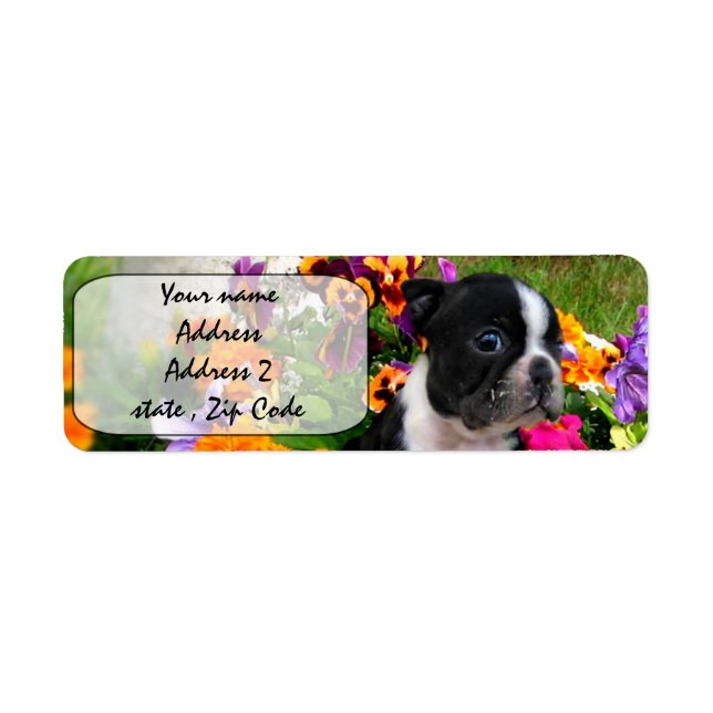Etiqueta Boston Terrier (Frente)