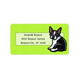 Etiqueta Boston Terrier Profile Studio Casual Lime
