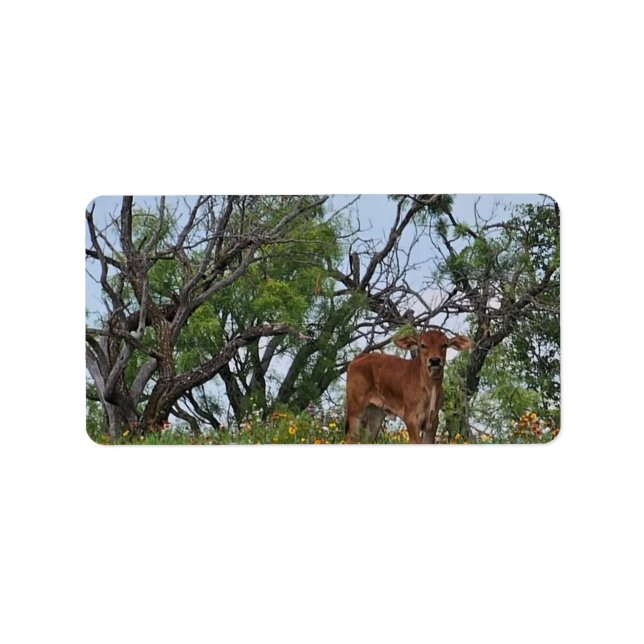 Etiqueta Brahman Calf en flores silvestres (Frente)